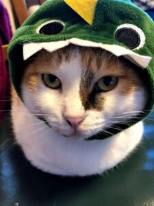 むぎ