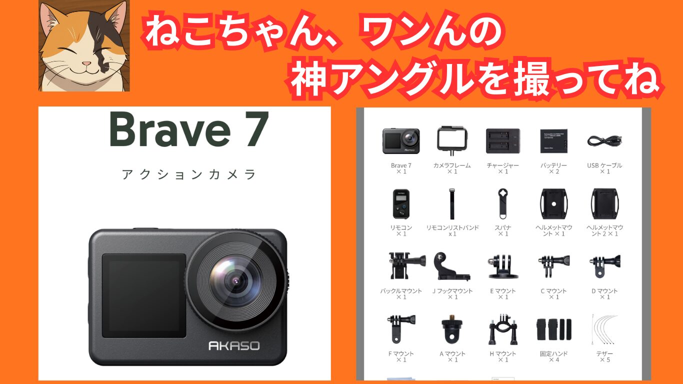 ねこちゃん、ワンんの 神アングルを撮ってね