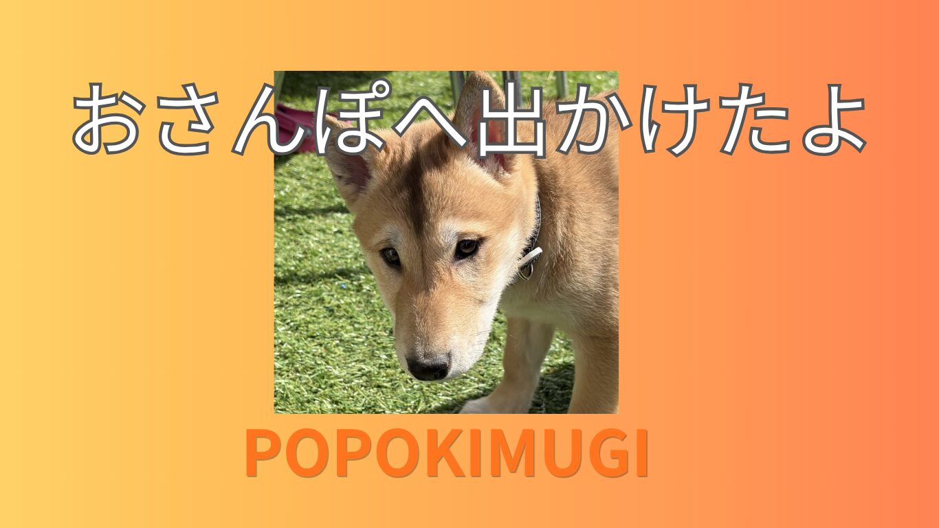 おさんぽに出かけたよ！