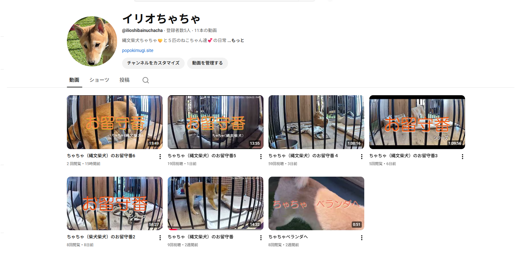 イリオちゃちゃ