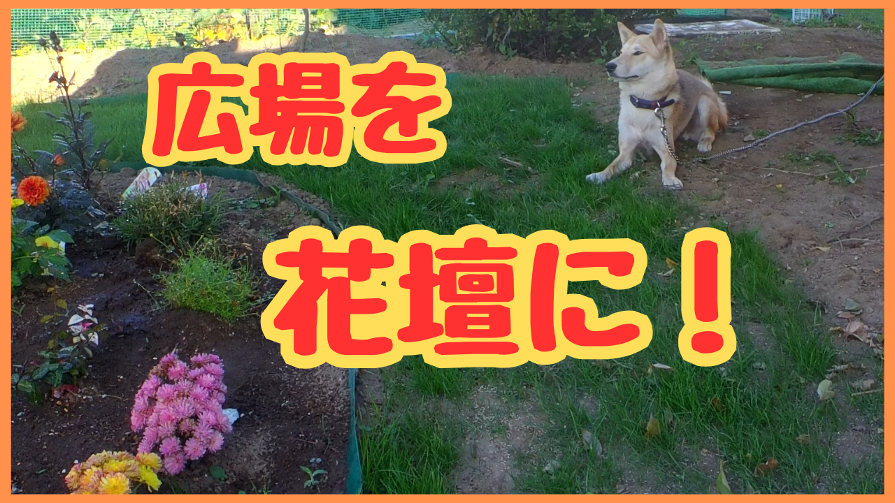 広場を花壇に